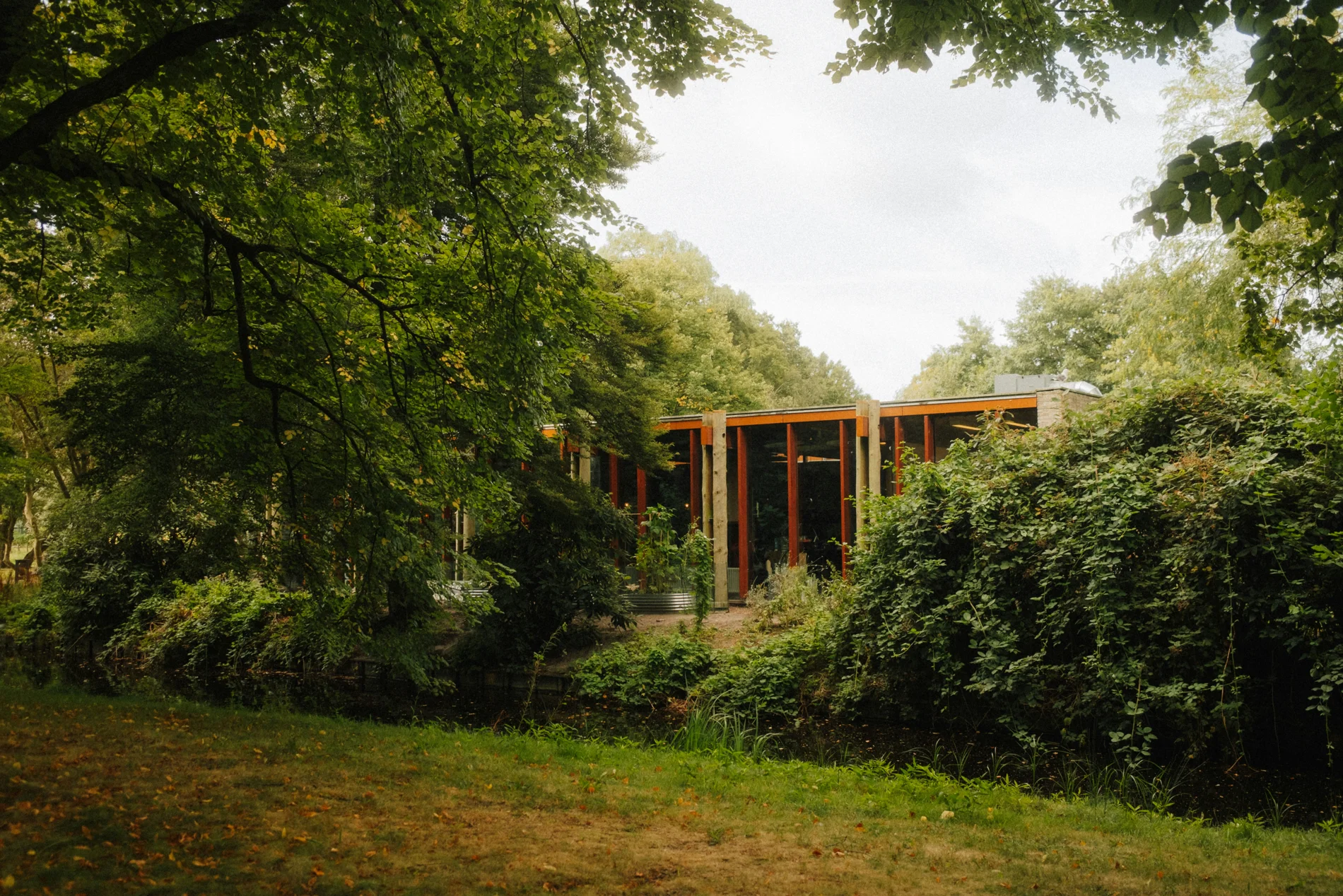 Architettura contemporanea con grandi vetrate immersa nella vegetazione